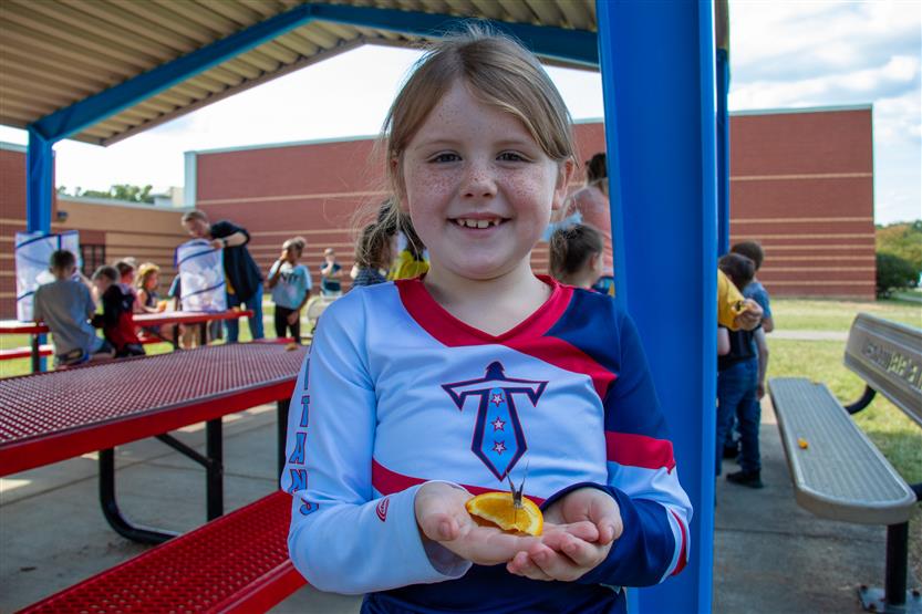 A girl with pigtails holds a butterfly on an orange slice
